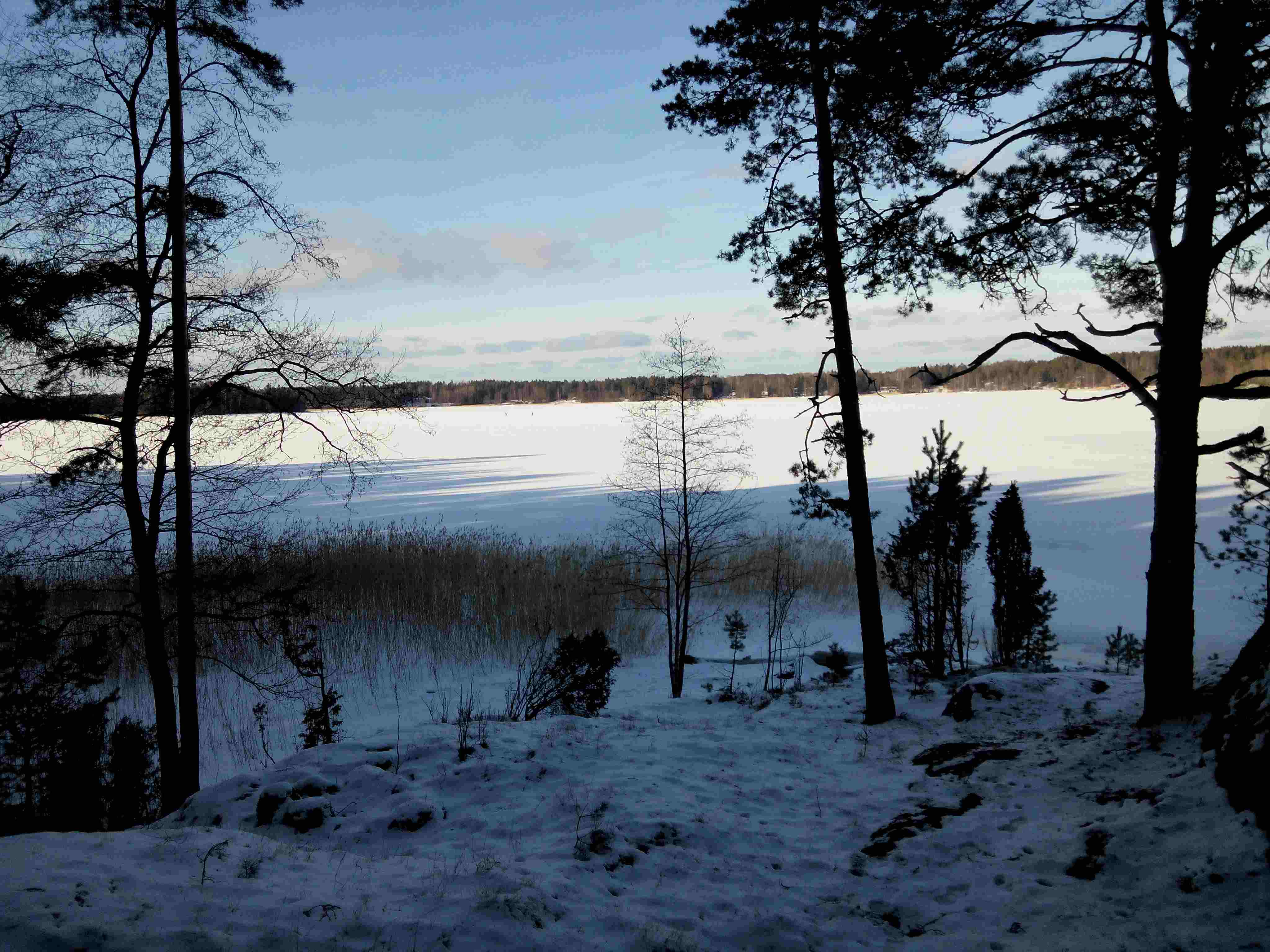 LeoLand, Finland. Winter 2017-1